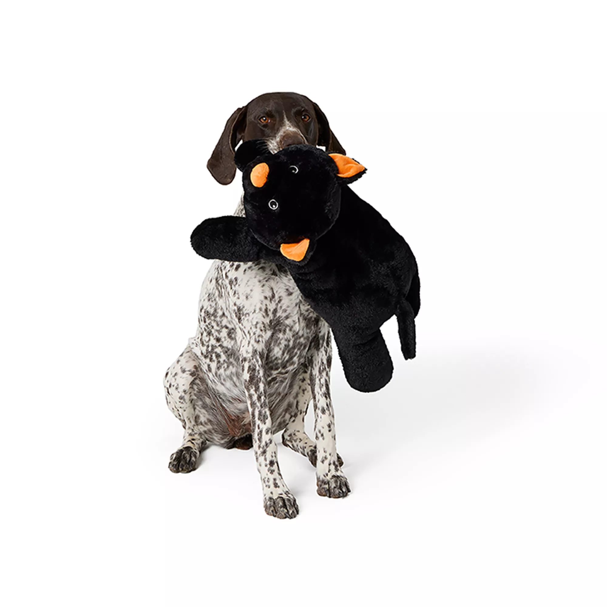 Thrills & Chills® XL Plush Dog Toy