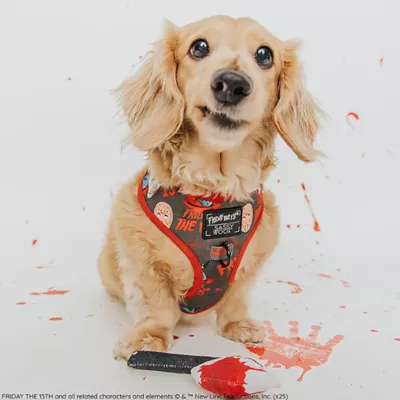 Product Sassy Woof Friday Halloween Adjustable Harness