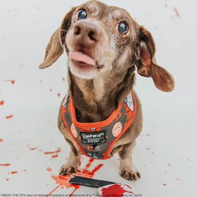 Product Sassy Woof Friday Halloween Adjustable Harness