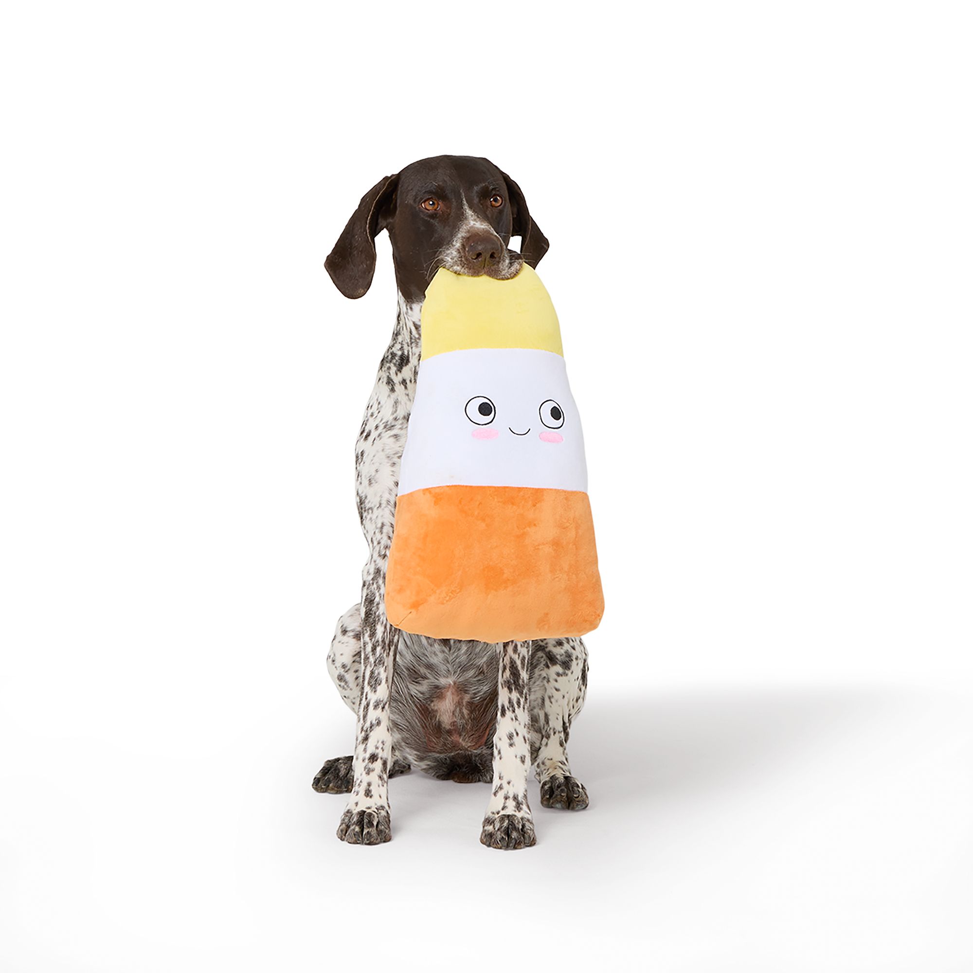 Thrills & Chills® Squeaker Plush Candy Corn Dog Toy