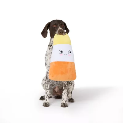 Product Thrills & Chills® Squeaker Plush Candy Corn Dog Toy