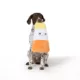 Product Thrills & Chills® Squeaker Plush Candy Corn Dog Toy