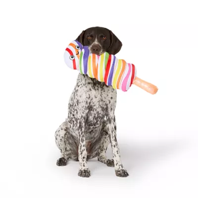 Product Thrills & Chills® Squeaker Plush Candy Grab Swirl Dog Toy