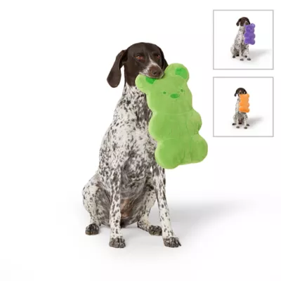 Product Thrills & Chills® Squeaker Plush Candy Grab Bear Dog Toy