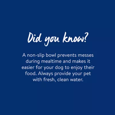 Product Top Paw® Basic Stainless Steel Dog Bowl