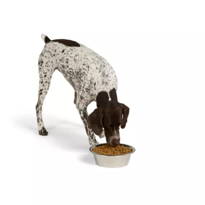Product Top Paw® Basic Stainless Steel Dog Bowl