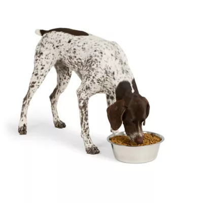 Product Top Paw® Basic Stainless Steel Dog Bowl