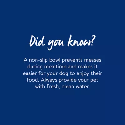 Top Paw® Embossed Bone Dog Bowl - Image 5