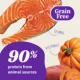 Product Halo Elevate Grain-Free Adult Dry Dog Food - Salmon Recipe
