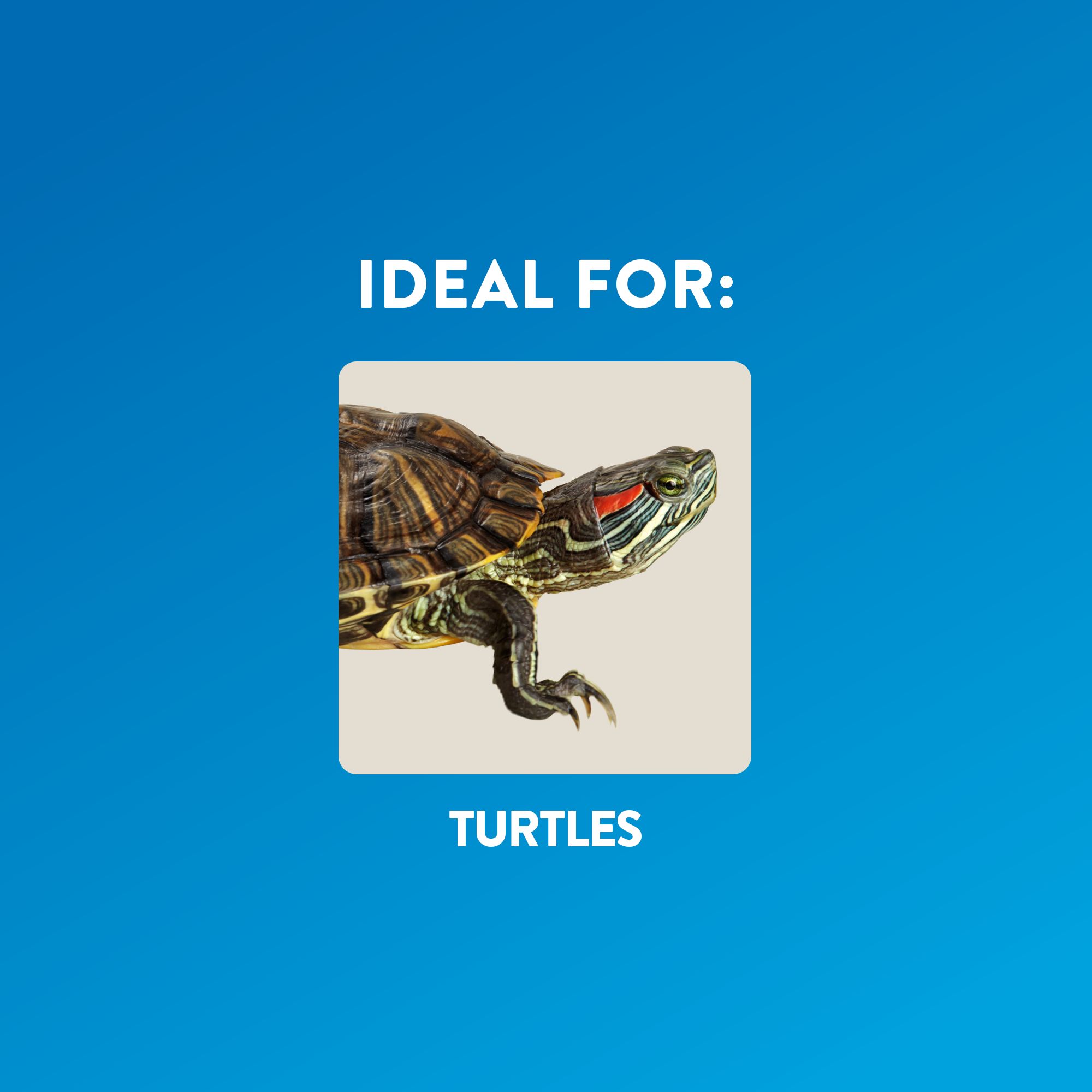 Thrive Terrarium Elevated Turtle Basking Loft - thumbnail 2