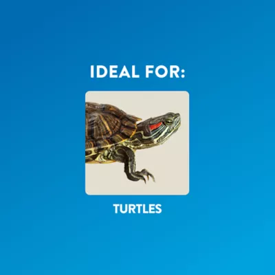 Thrive Elevated Turtle Basking Loft - Image 2