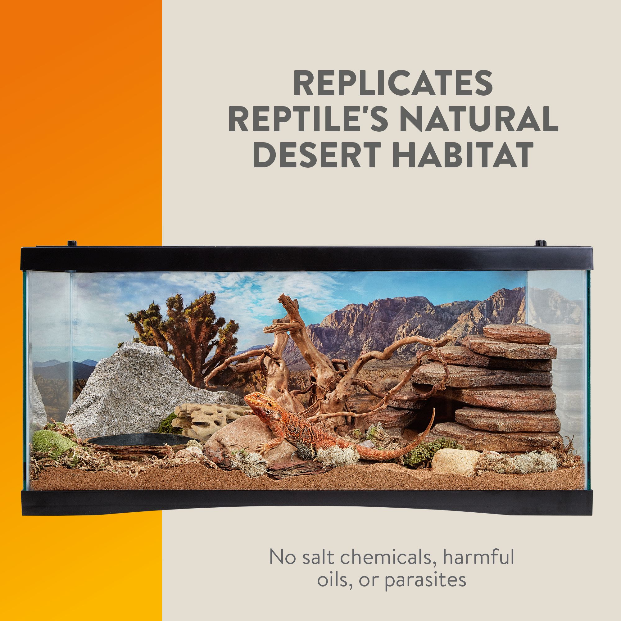Thrive Desert Cholla Decorating Kit - Climbing Terrarium Decor - thumbnail 6