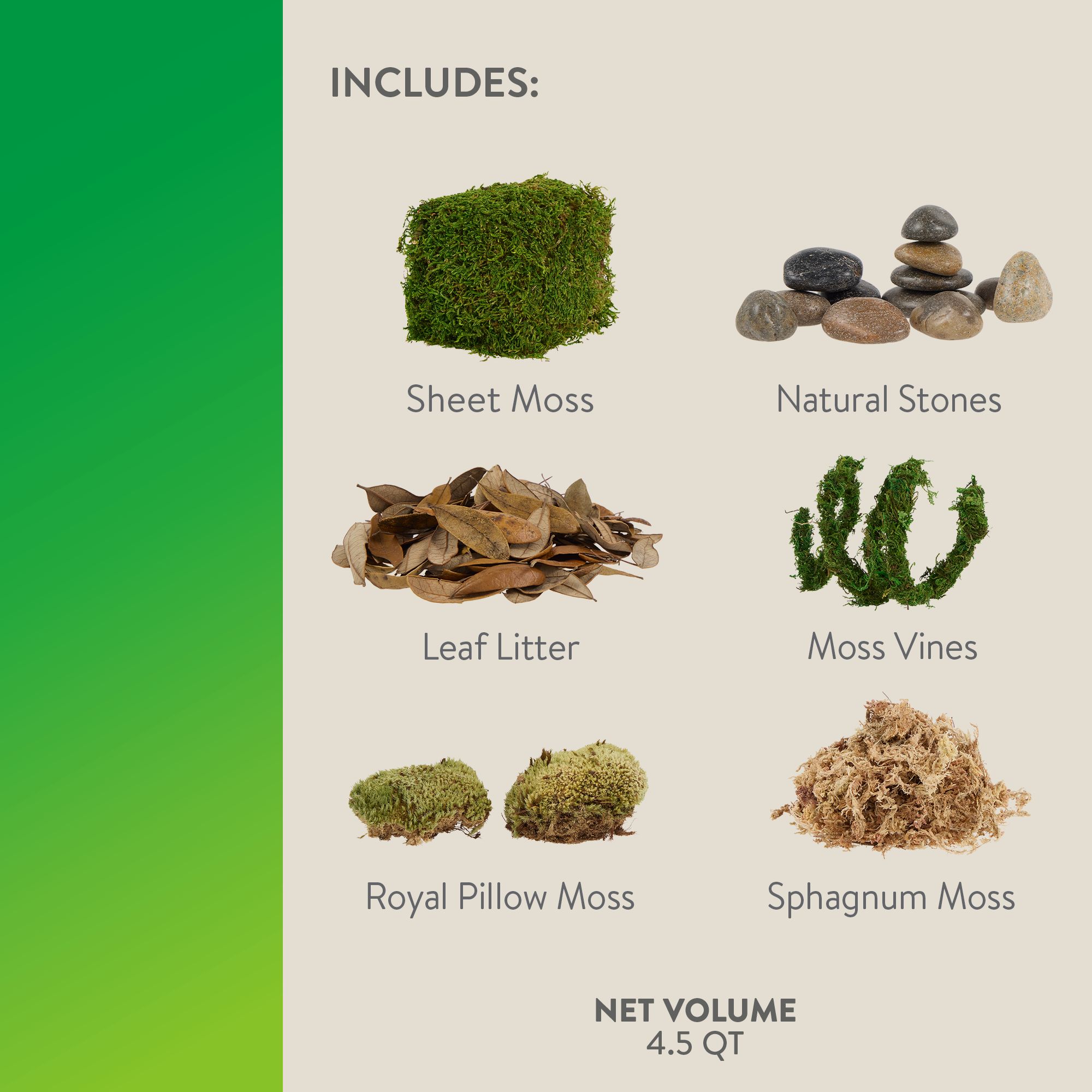Thrive Tropical Stones Decorating Kit - Terrarium Decor Kit - thumbnail 3