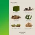 Thrive™ Tropical Stones Decorating Kit image thumbnail 3
