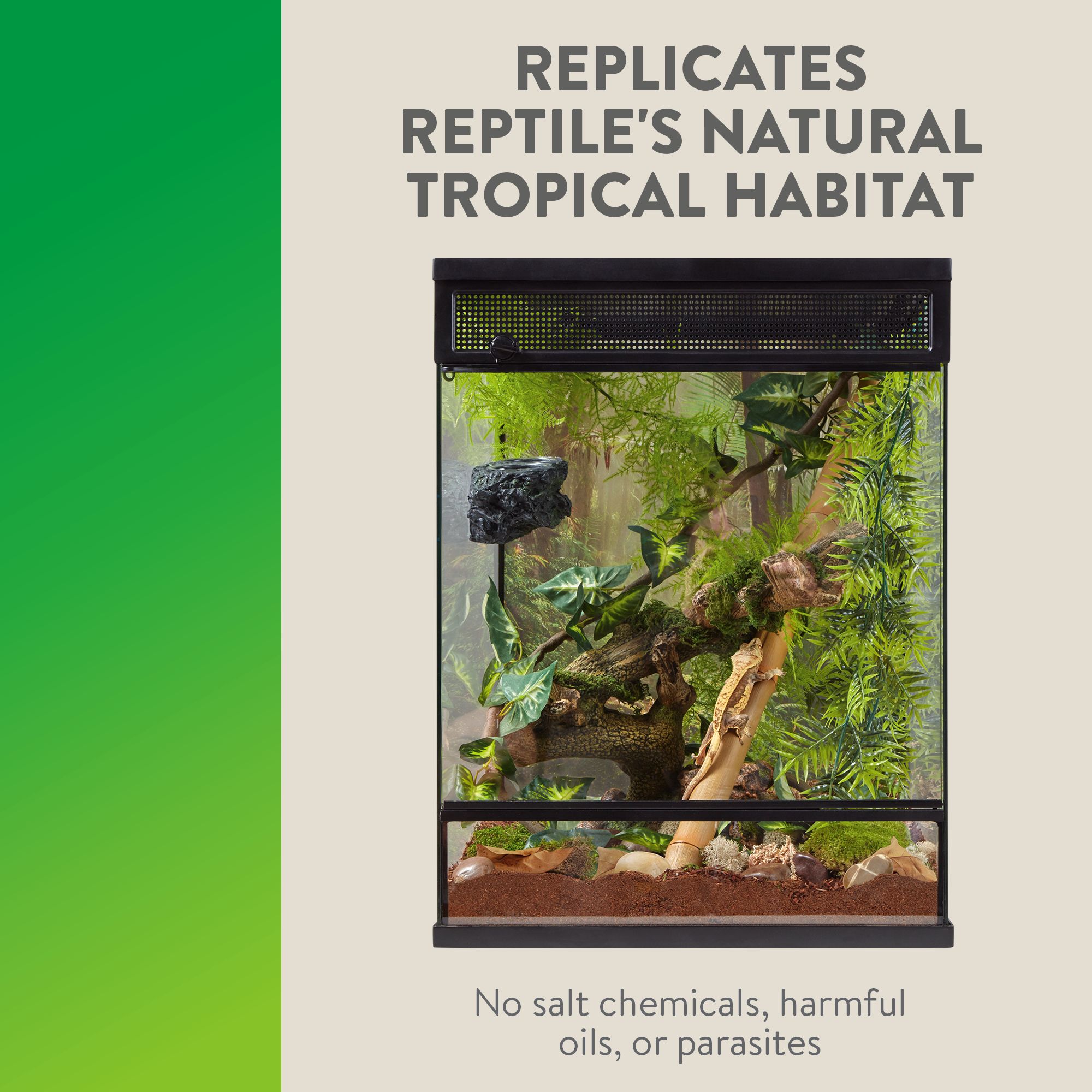 Thrive Tropical Stones Decorating Kit - Terrarium Decor Kit - thumbnail 6