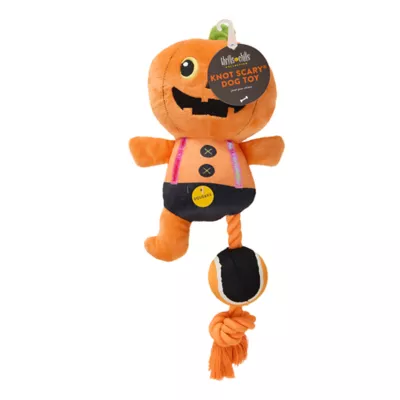 Product Thrills & Chills® Tennis Ball Rope with Plush Pumpkin Dog Toy