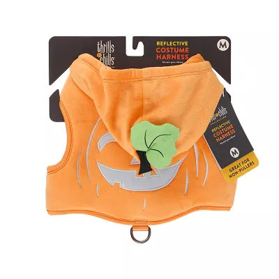 Product Thrills & Chills® Pumpkin Costume Harness