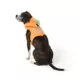 Product Thrills & Chills® Costume Harness