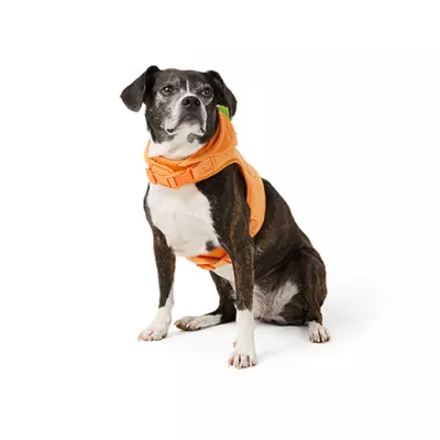 Product Thrills & Chills® Costume Harness