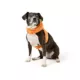 Product Thrills & Chills® Costume Harness