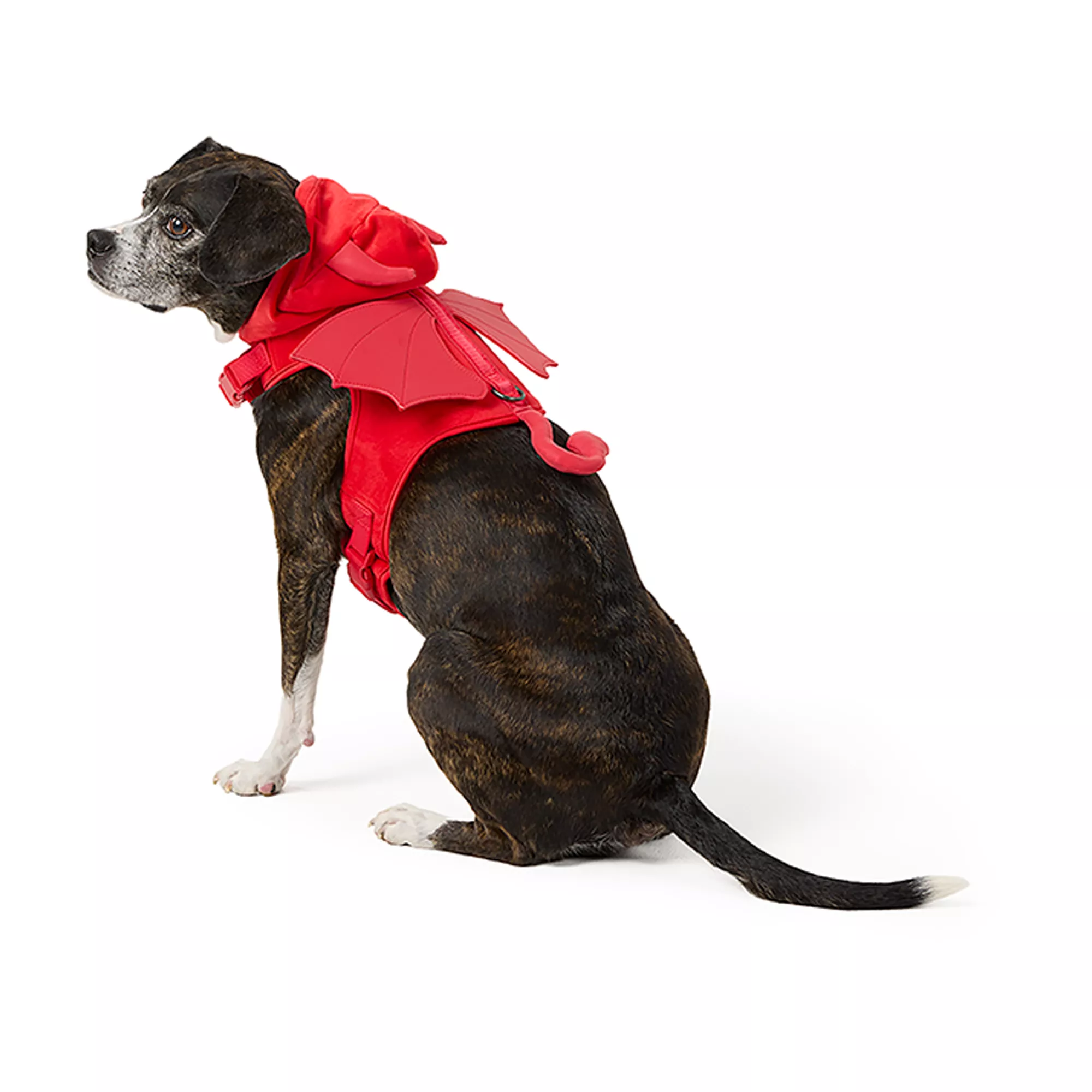 Thrills & Chills® Costume Harness