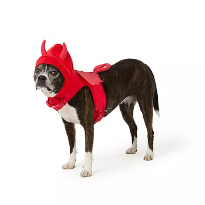 Product Thrills & Chills® Devil Costume Harness