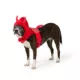 Product Thrills & Chills® Devil Costume Harness