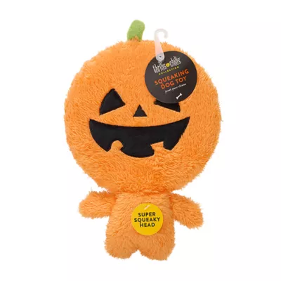 Product Thrills & Chills® Fetch Friend Pumpkin Plush Dog Toy with Squeaker