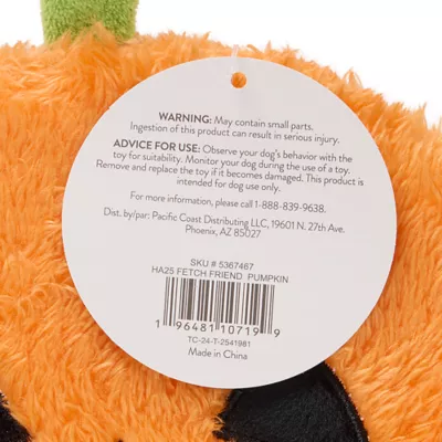 Product Thrills & Chills® Fetch Friend Pumpkin Plush Dog Toy with Squeaker