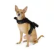 Product Thrills & Chills® Costume Harness