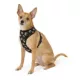 Product Thrills & Chills® Black and Orange Reversible Harness