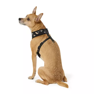 Product Thrills & Chills® Black and Orange Reversible Harness
