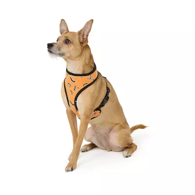 Product Thrills & Chills® Black and Orange Reversible Harness