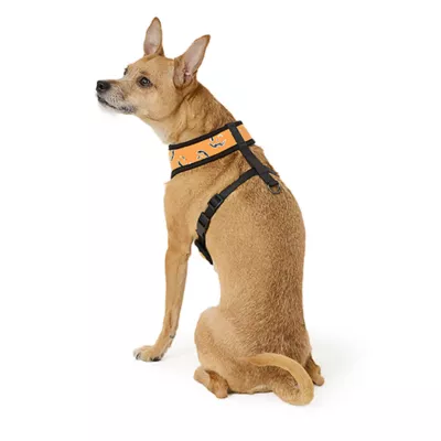 Product Thrills & Chills® Black and Orange Reversible Harness