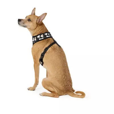Product Thrills & Chills® Spider Webs/Ghosts Reversible Harness