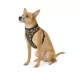 Product Thrills & Chills® Costume Harness