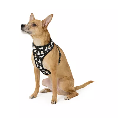 Product Thrills & Chills® Costume Harness