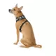 Product Thrills & Chills® Costume Harness