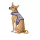 Product Thrills & Chills® Light-UP Fiber Optic Bat Dog Harness