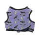 Product Thrills & Chills® Light-UP Fiber Optic Bat Dog Harness
