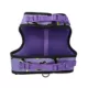 Product Thrills & Chills® Light-UP Fiber Optic Bat Dog Harness