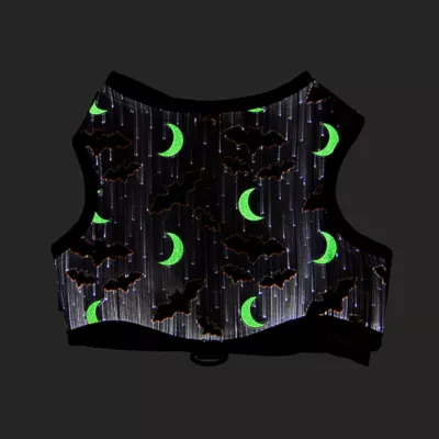 Product Thrills & Chills® Light-UP Fiber Optic Bat Dog Harness
