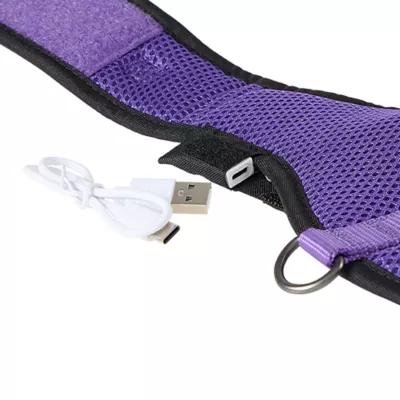 Product Thrills & Chills® Light-UP Fiber Optic Bat Dog Harness