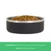 Top Paw® Insulated Stainless Steel Dog Bowl image thumbnail 4