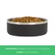 Product Top Paw® Insulated Stainless Steel Dog Bowl