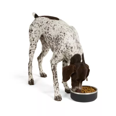 Product Top Paw® Insulated Stainless Steel Dog Bowl