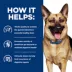 Hill's Prescription Diet Digestive/Fiber Care Gastrointestinal Biome All Life Stages Wet Dog Food image thumbnail 5