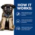 Hill's Prescription Diet i/d Digestive Care Puppy Wet Dog Food - Turkey, 13 oz image thumbnail 6