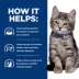 Hill's Prescription Diet i/d Digestive Care Kitten Dry Cat Food - 4 lb image thumbnail 5