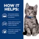 Product Hill's Prescription Diet i/d Digestive Care Kitten Dry Cat Food - 4 lb